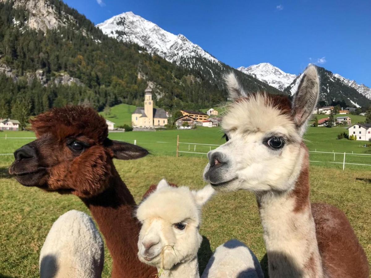 Gaestehaus Zum Baeren Leilighet Wald am Arlberg Eksteriør bilde