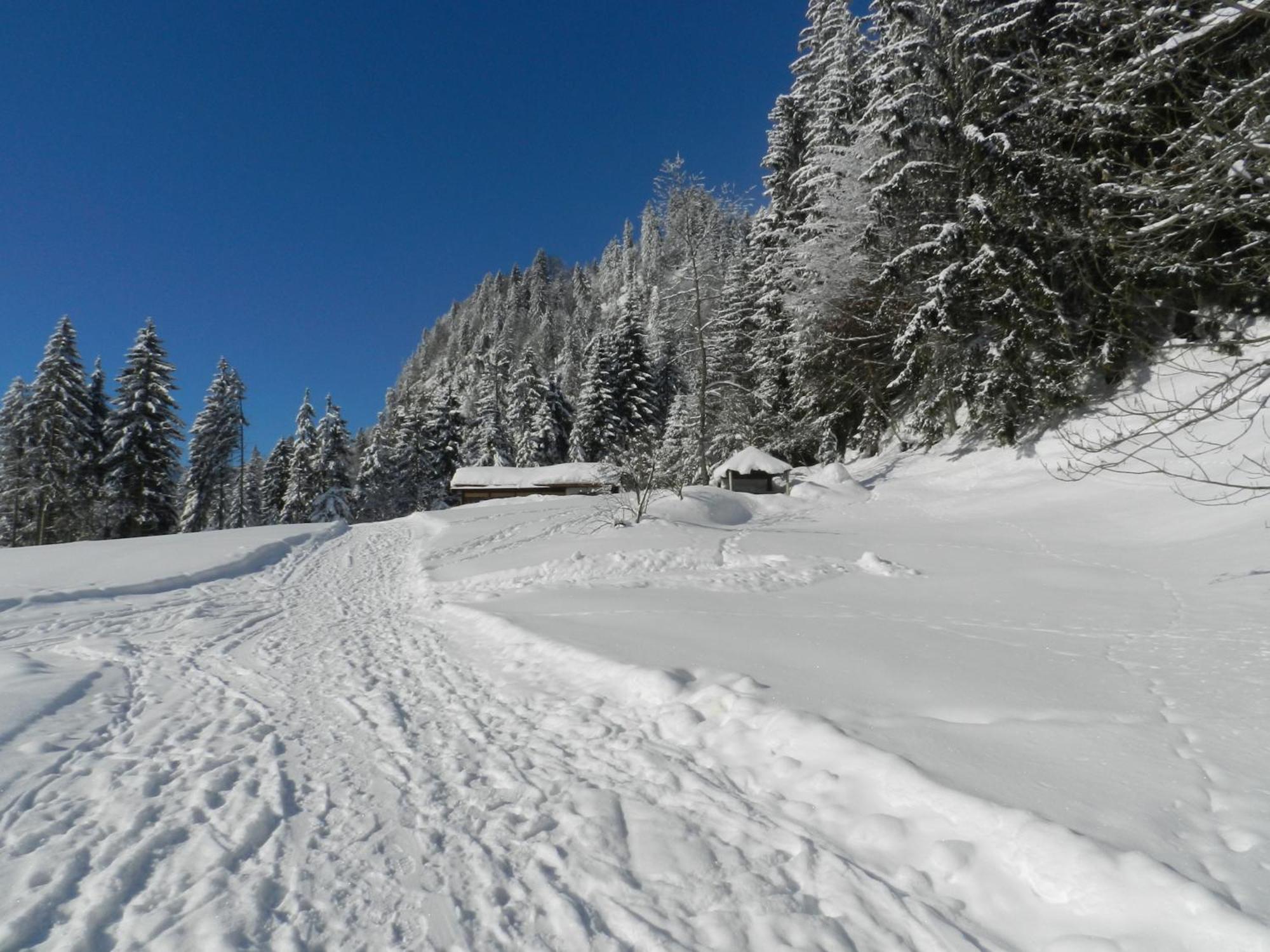 Gaestehaus Zum Baeren Leilighet Wald am Arlberg Eksteriør bilde